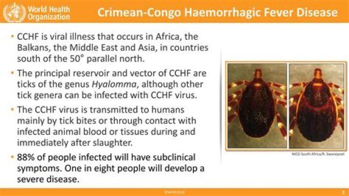 Congo fever is a viral disease that's usually transmitted by ticks and livestock